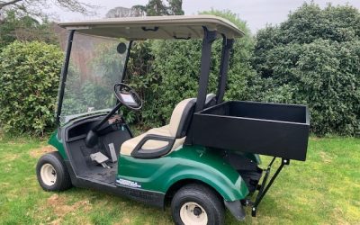 Electric golf buggy and cargo box