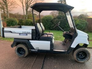 Penen Services golf buggy conversion services before