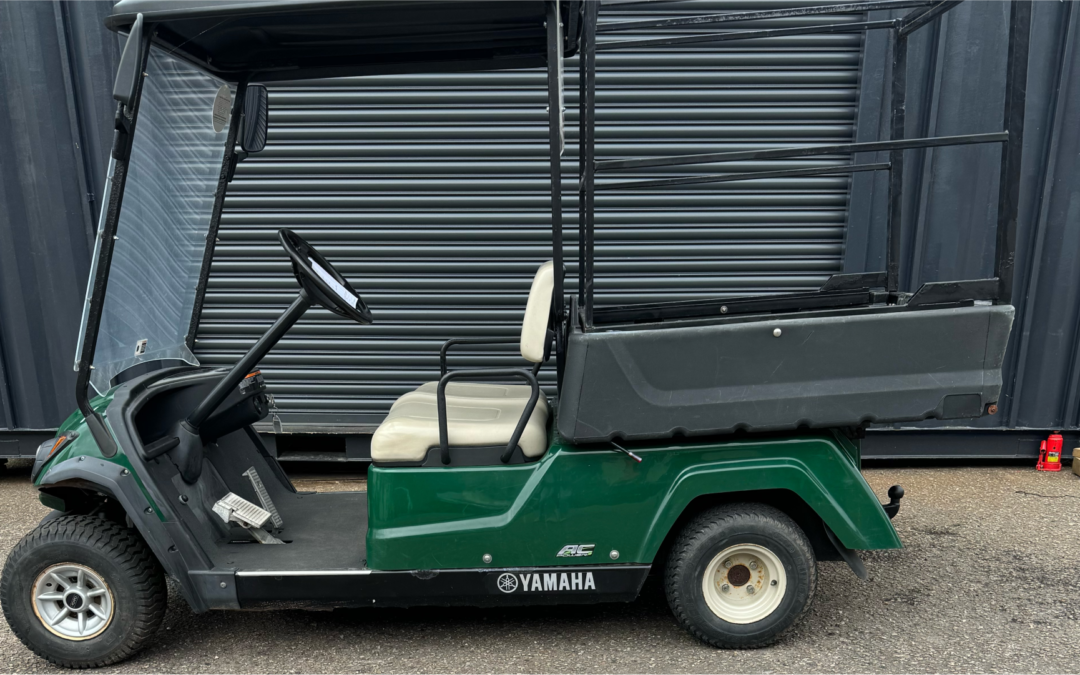 Yamaha Electric Utility Buggie AC